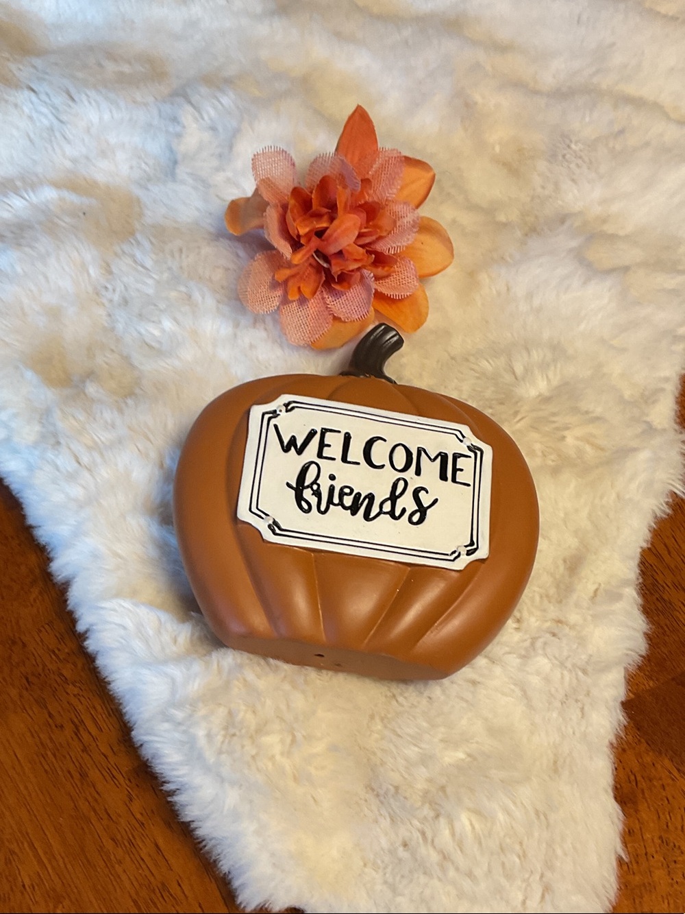 Handcrafted Autumn Orange Pumpkin “Welcome Friends” Decor